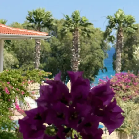 Idil Apart-datca داتْشا