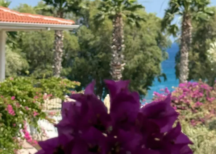 Idil Apart-datca Datça